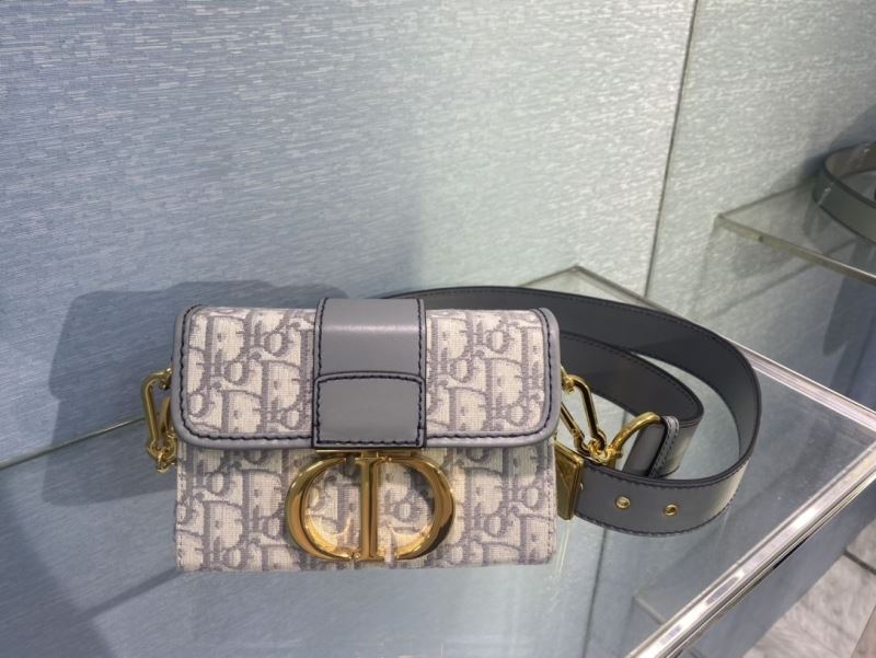 Dior Satchel bags